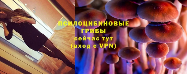 дмт Абаза