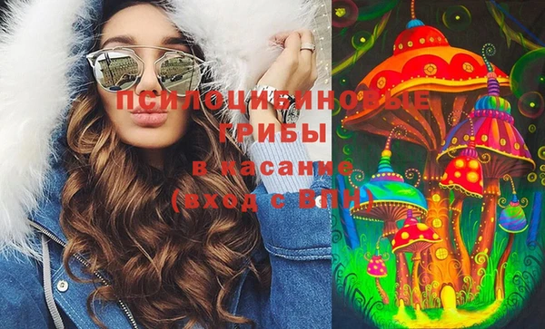 дмт Абаза