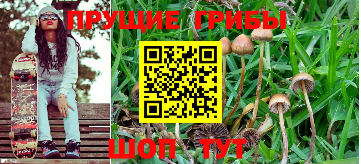 Псилоцибиновые грибы GOLDEN TEACHER  Псилоцибиновые грибы Cubensis  Вход с VPN  Избербаш 