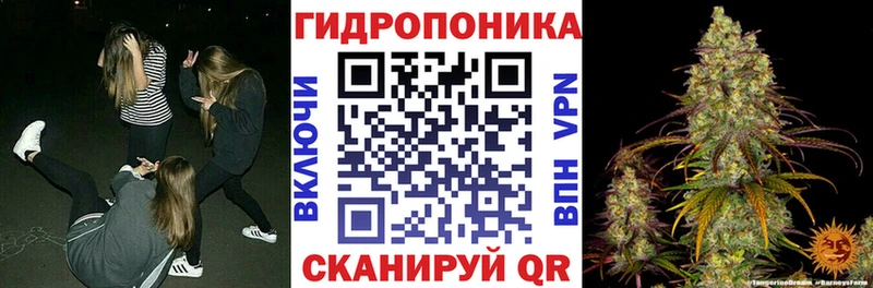 Каннабис семена  гидра маркетплейс  Избербаш 
